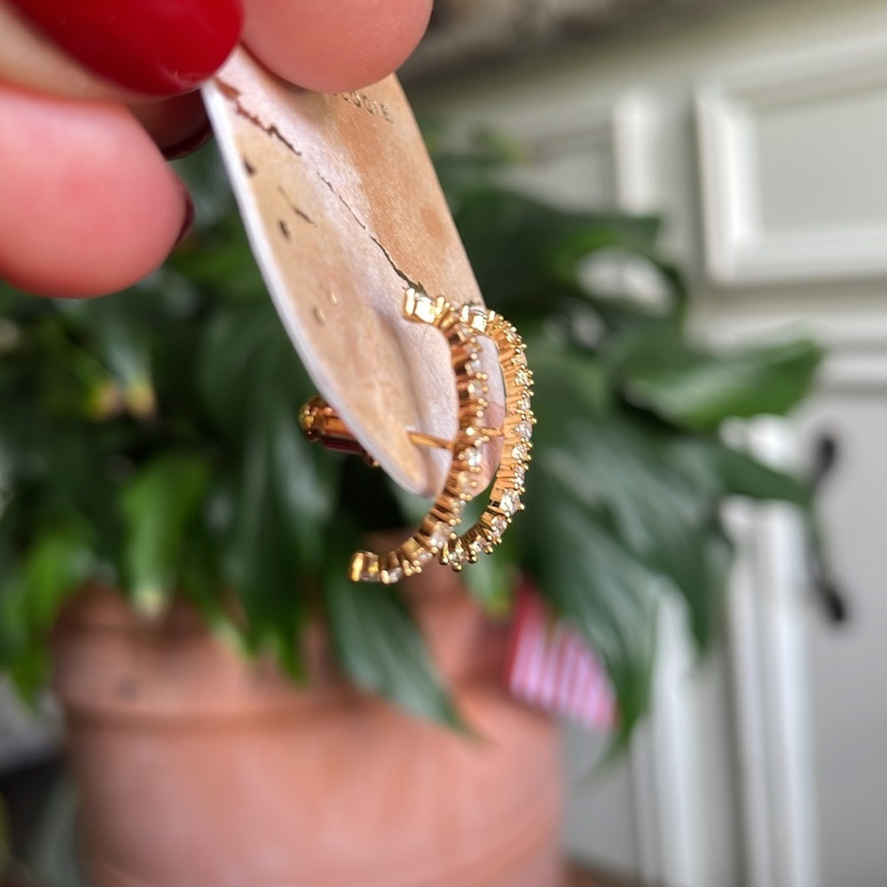 Anthropologie Linear Crystal Earrings - Picture 7 of 7